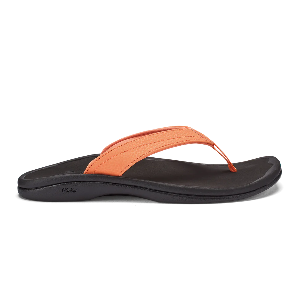 'Ohana::Shell Coral