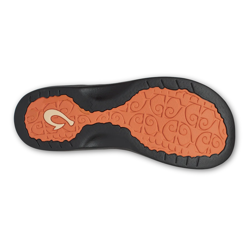'Ohana::Shell Coral