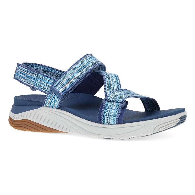 Rayna::Blue Multi Webbing