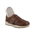 Darwin::Chestnut