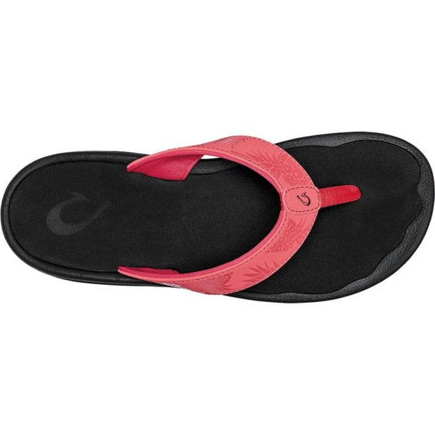 'Ohana::Paradise Pink/Hua