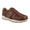 Darwin::Chestnut