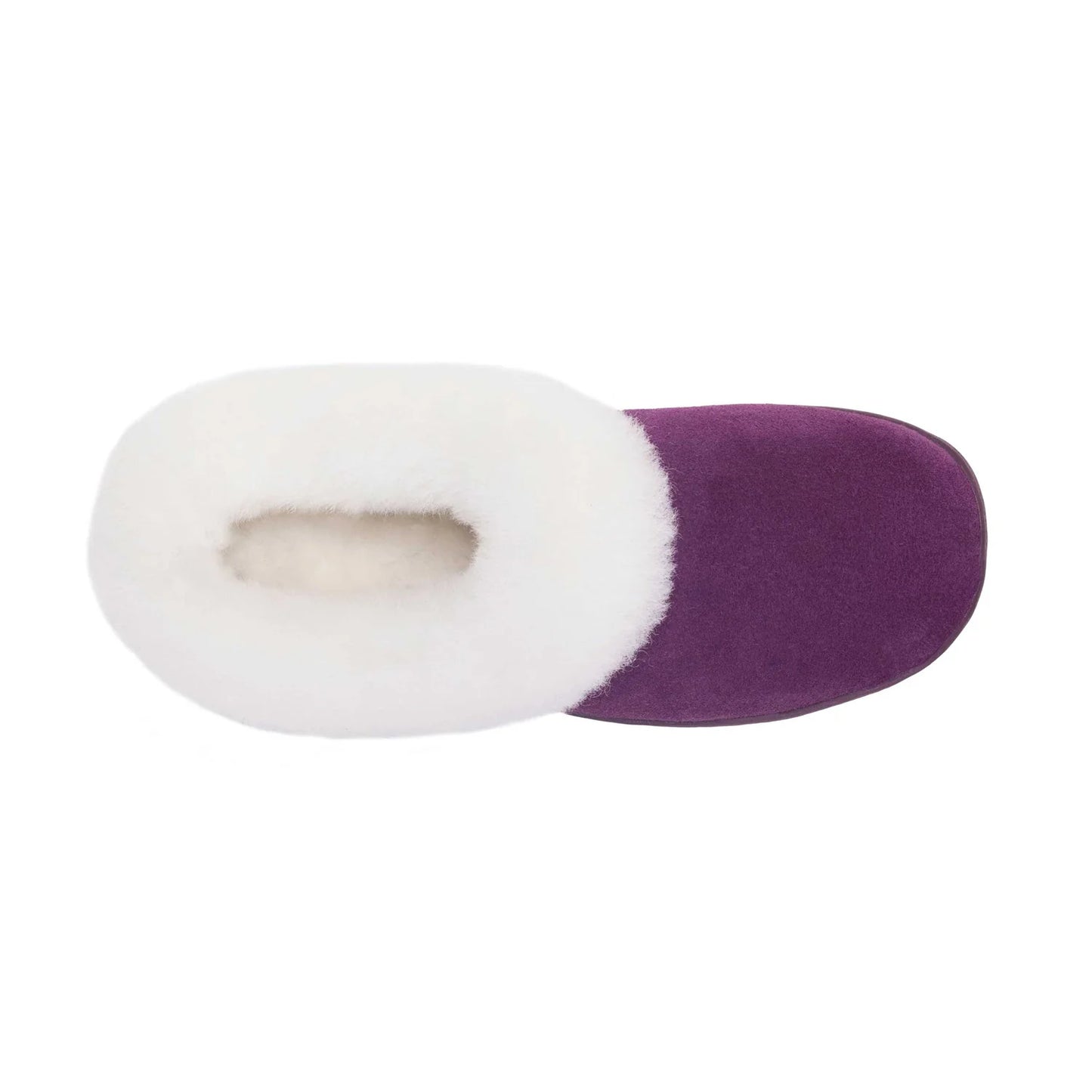Sunrise Clog::Berry
