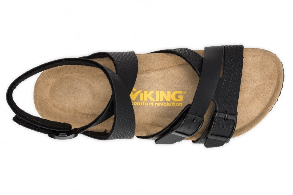 Cape Bay::Black Scales