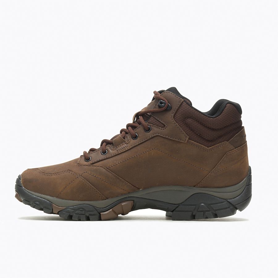 Moab Adventure Mid Waterproof::Dark Earth