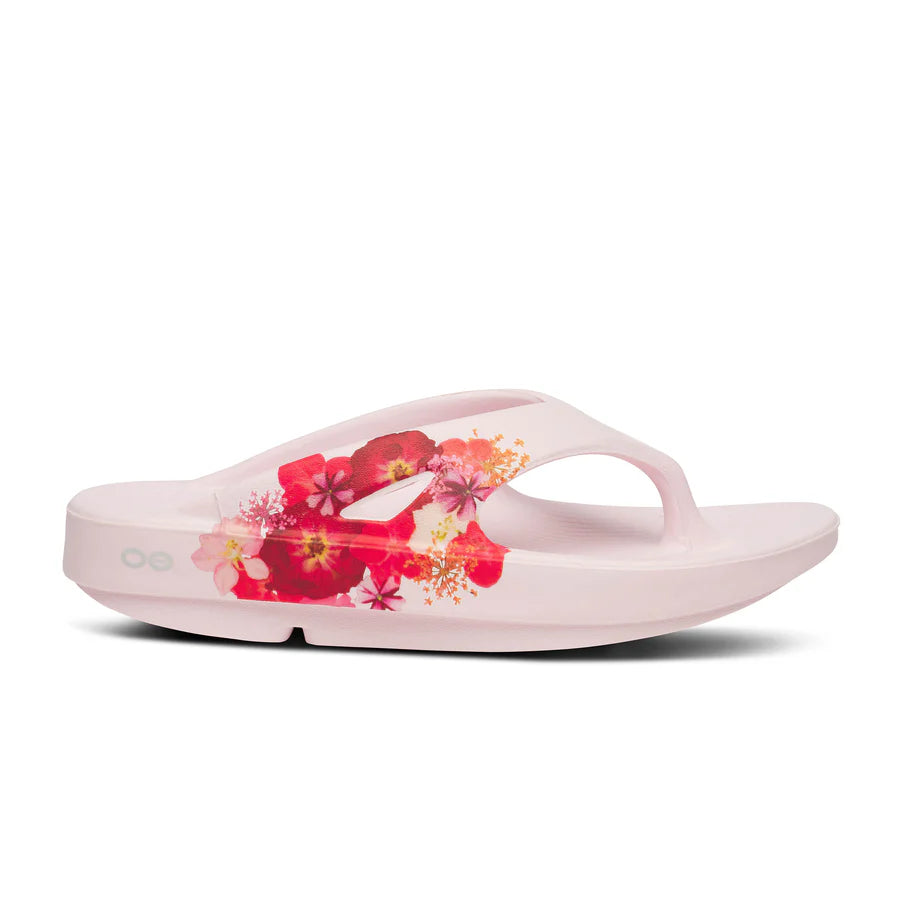 OOriginal Thong Limited::Primrose Blossom