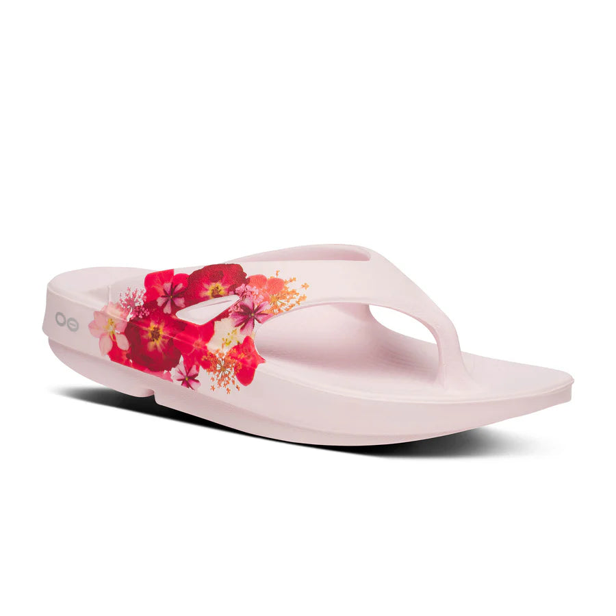 OOriginal Thong Limited::Primrose Blossom