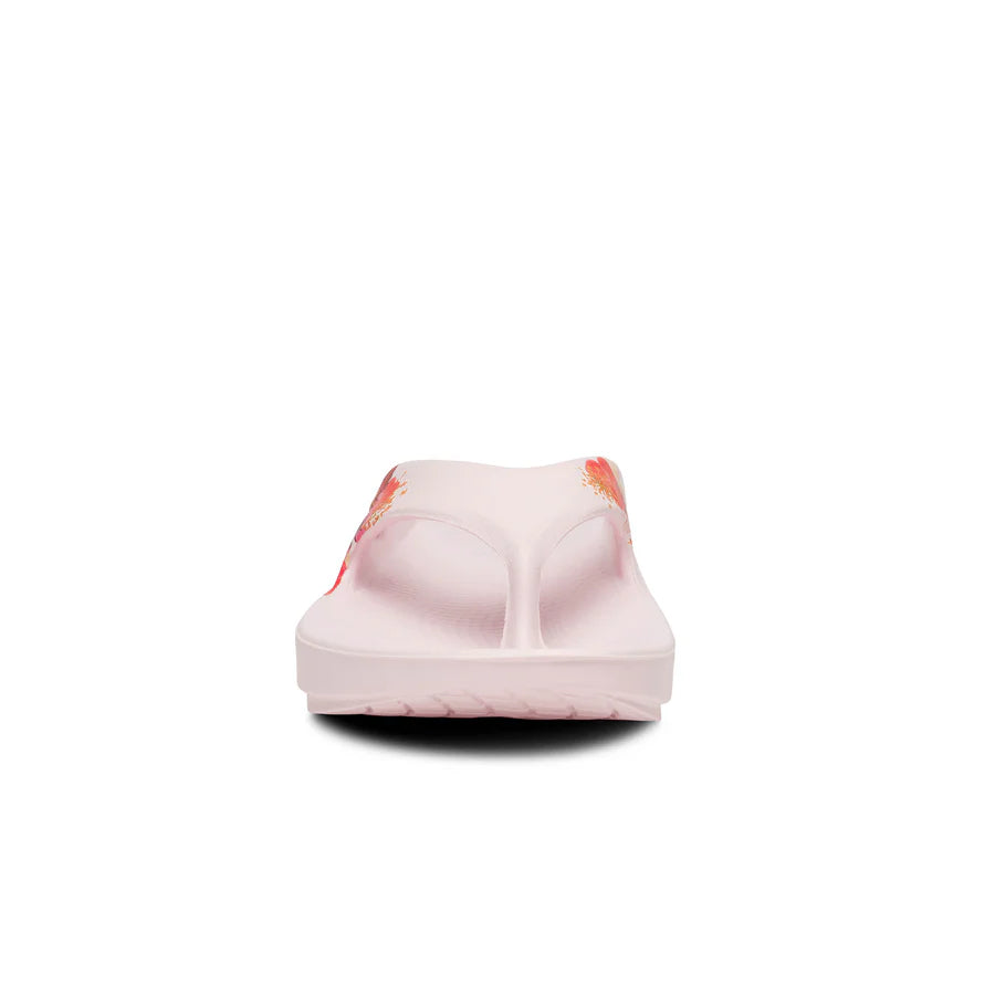 OOriginal Thong Limited::Primrose Blossom