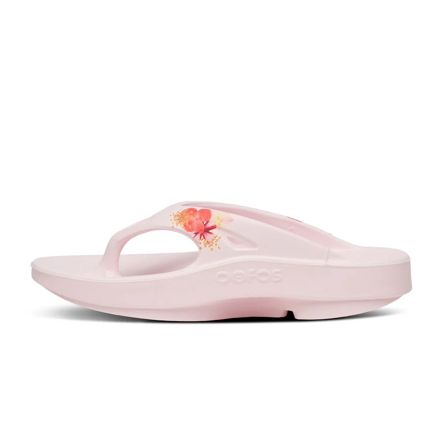 OOriginal Thong Limited::Primrose Blossom