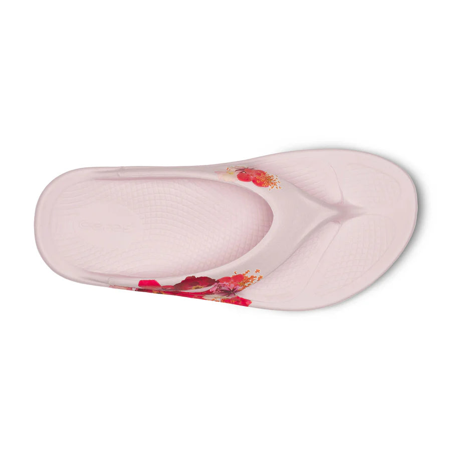 OOriginal Thong Limited::Primrose Blossom