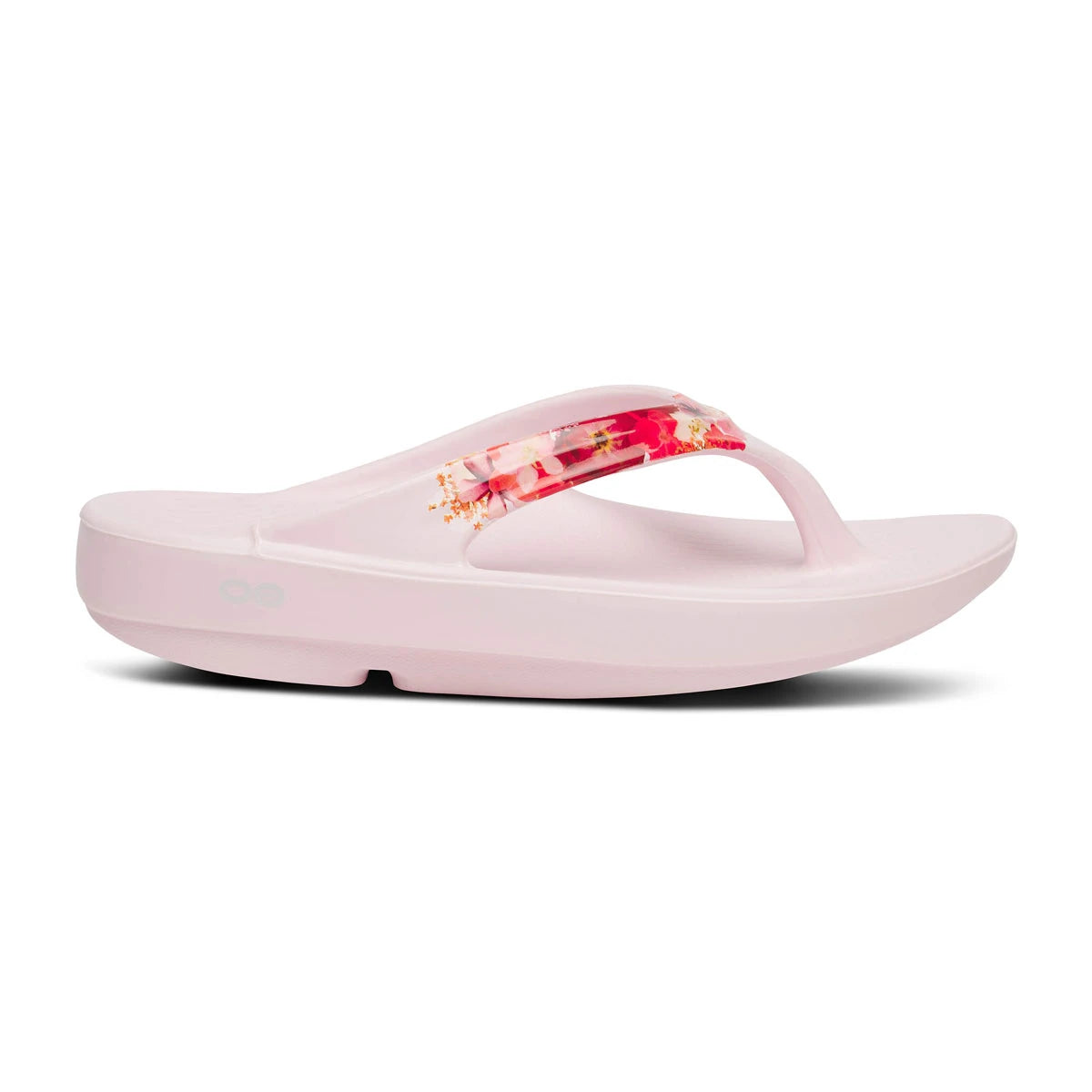OOlala Limited::Primrose Blossom