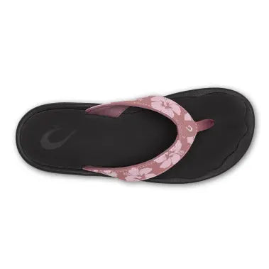 'Ohana::Coral Rose/Pua