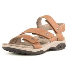 Haley::Almond