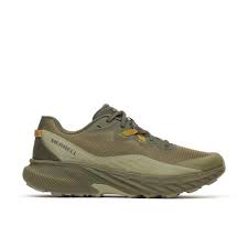 Agility Trail::Loden