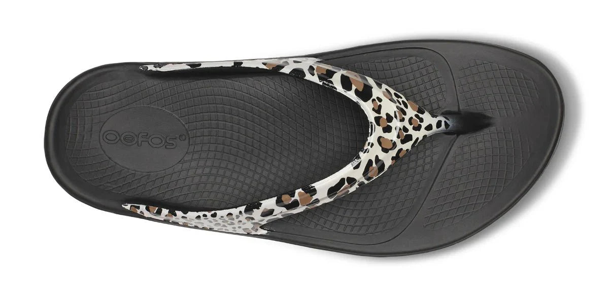 OOlala Limited::Leopard 26