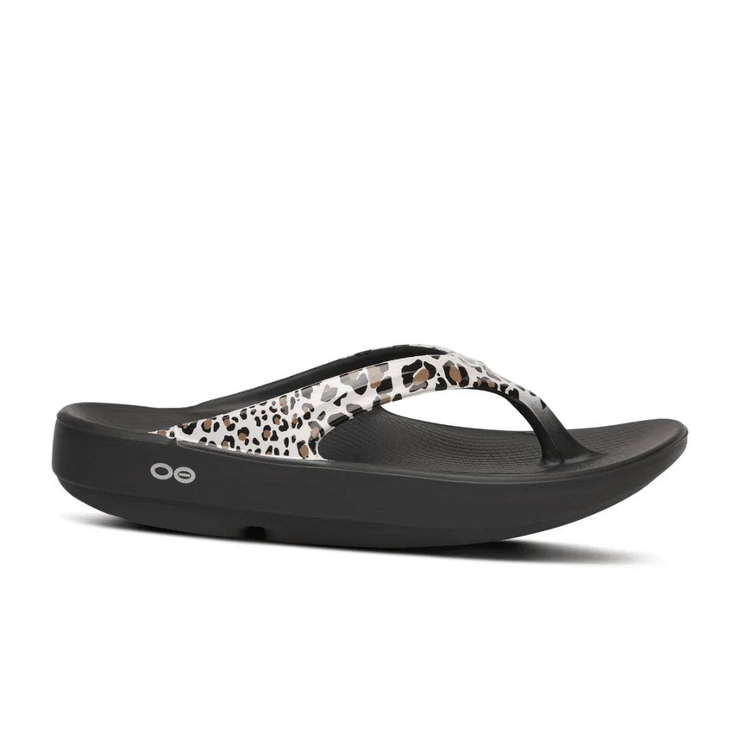 OOlala Limited::Leopard 26