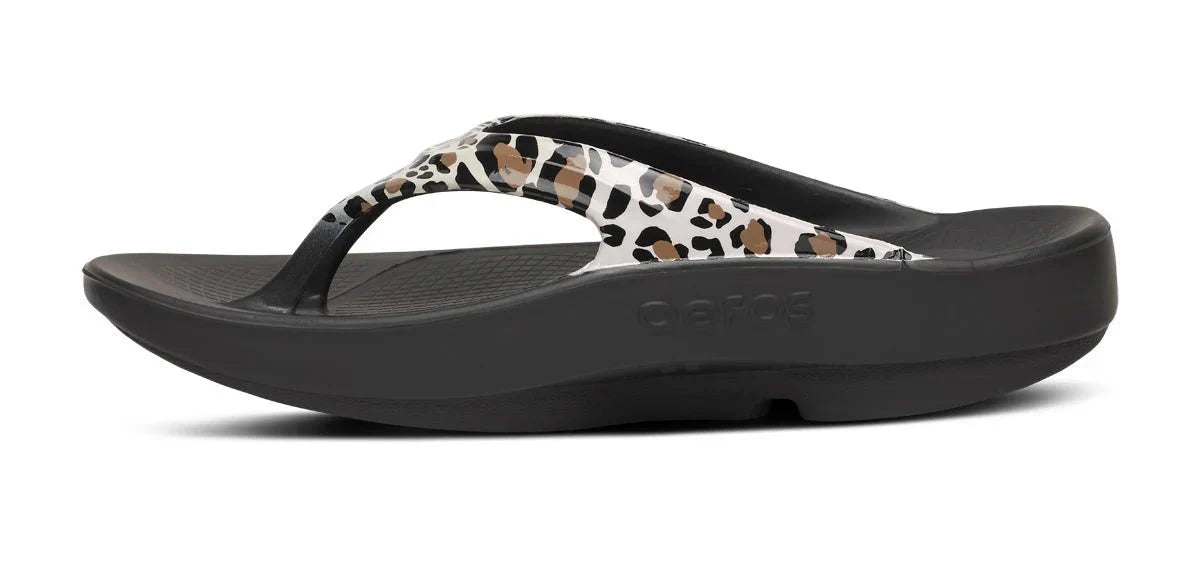 OOlala Limited::Leopard 26